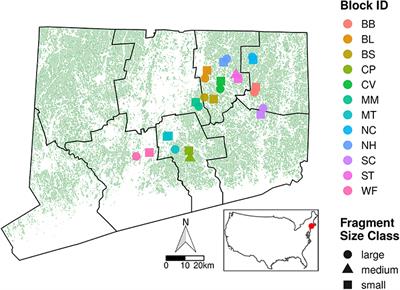 Bottom-Up and Top-Down Effects of Forest Fragmentation Differ Between Dietary Generalist and Specialist Caterpillars